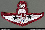 Training Insignia: Police Parachute Patch Special Class