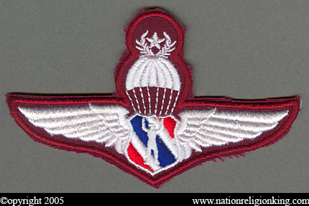 Training Insignia: Police Parachute Patch First Class