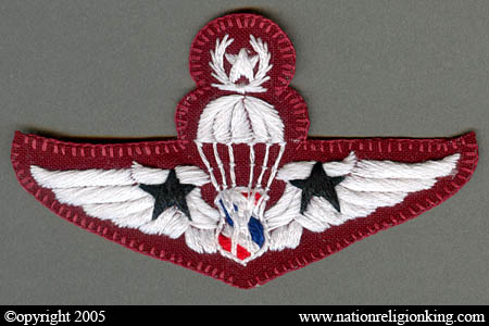 Training Insignia: Police Parachute Patch Special Class