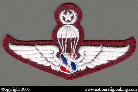 Training Insignia: Police Parachute Patch First Class