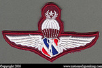 Training Insignia: Police Parachute Patch First Class
