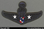 Training Insignia: Police Parachute Patch Special Class (Subdued)