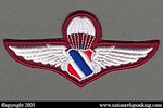 Training Insignia: Police Parachute Jump Wings Variant Patch