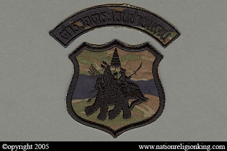 Border Patrol Police: Police Aerial Reinforcement Unit (PARU) Shoulder Patch and Tab with Tiger-Stripe Camouflage