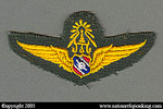 Office Of Logistics: Police First Class Pilot Wings Patch 